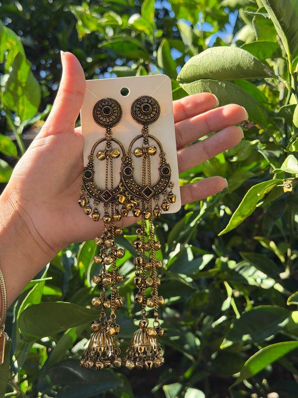 Sonam Kashmiri Long Earring