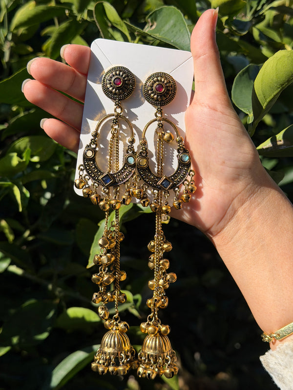 Sonam Kashmiri Long Earring