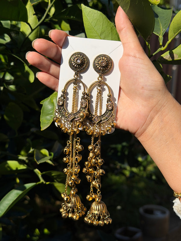 Sonam Kashmiri Long Earring