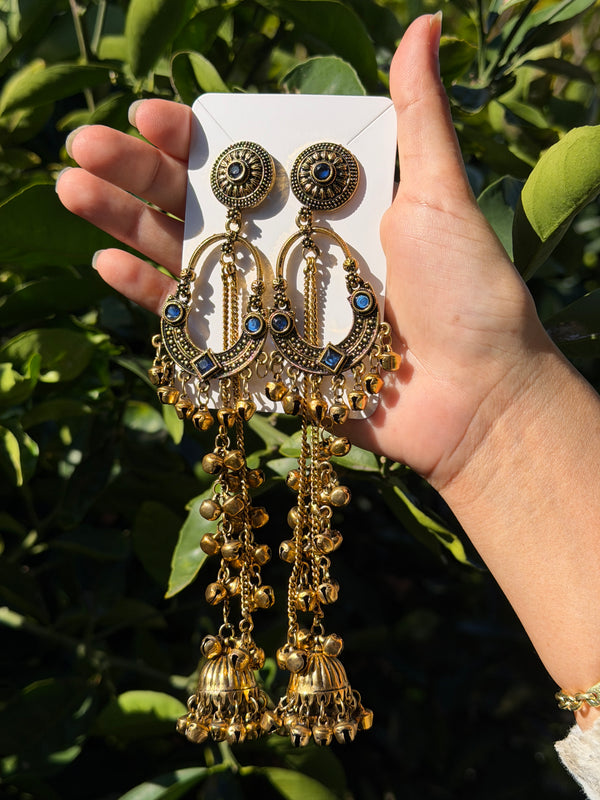 Sonam Kashmiri Long Earring