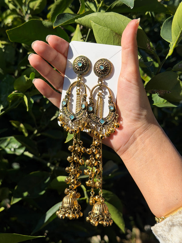 Sonam Kashmiri Long Earring