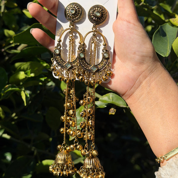 Sonam Kashmiri Long Earring